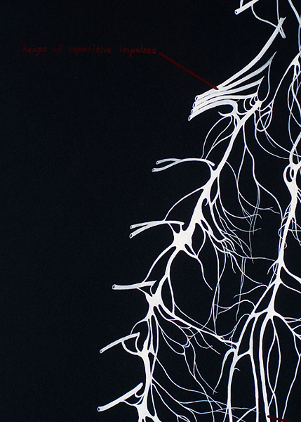 autonomic_nerve_system